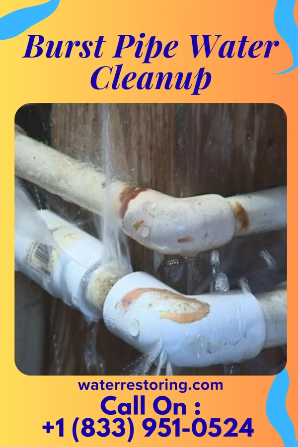 Burst Pipe Water Cleanup in Troy, MI