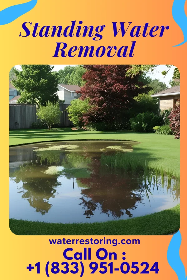 Standing Water Removal in Troy, MI